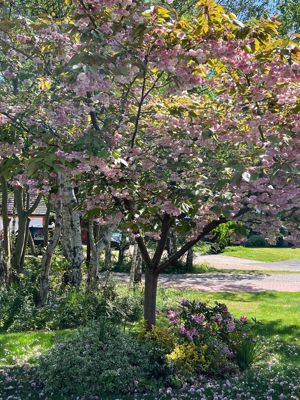 Photo 19- click for photo gallery